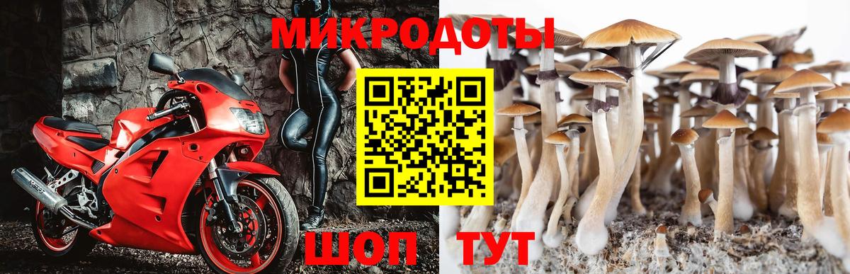 Белово  Галлюциногенные грибы Cubensis  Вход с VPN 